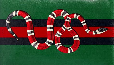 what kind of snake is the gucci python|why does gucci use snake.